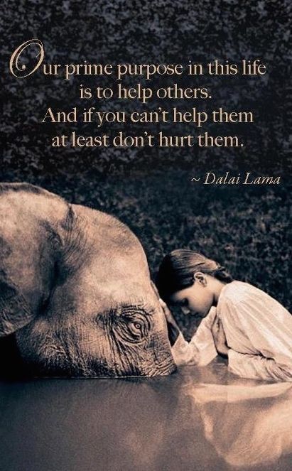 CynthiaLippert's tweet photo. Our prime purpose in life is to help others. #EVUSA #MotivationMonday #RealEstate #Realtor #HowMayIHelp https://t.co/oOlKArWGcW