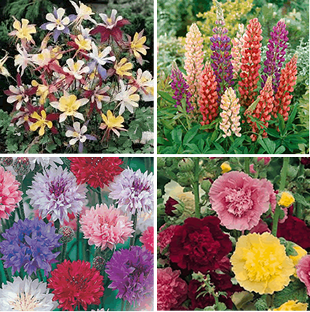 GiftsYouGrow's tweet photo. #Worcestershirehour  Looking for #giftideas  with a differance? then https://t.co/yNzNkxNuGi has something for the #Gardeners  amongst us. https://t.co/ckOvuwMMkY