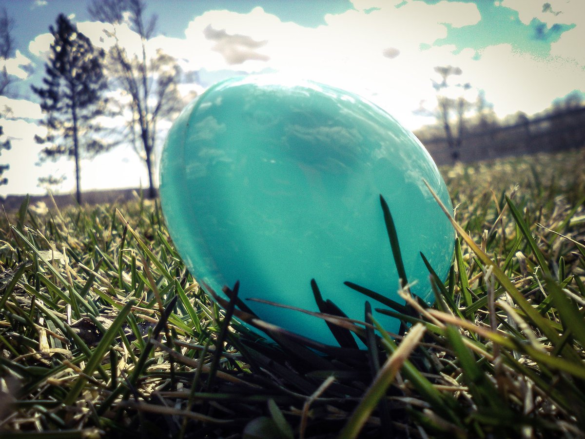 Photo_Genius4's tweet photo. Easter egg hunt #Easter2017 #photo #photography #Egghunt2017 #egg #photogenic #eastermonday #mondaymotivation #photooftheday https://t.co/vrFcgpt9OZ
