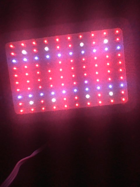 New grow light led all the way https://t.co/XXQiHEGDc4<a href="/tag/indigenousrightsnow"class="tags"><span>#indigenousrightsnow</span></a>