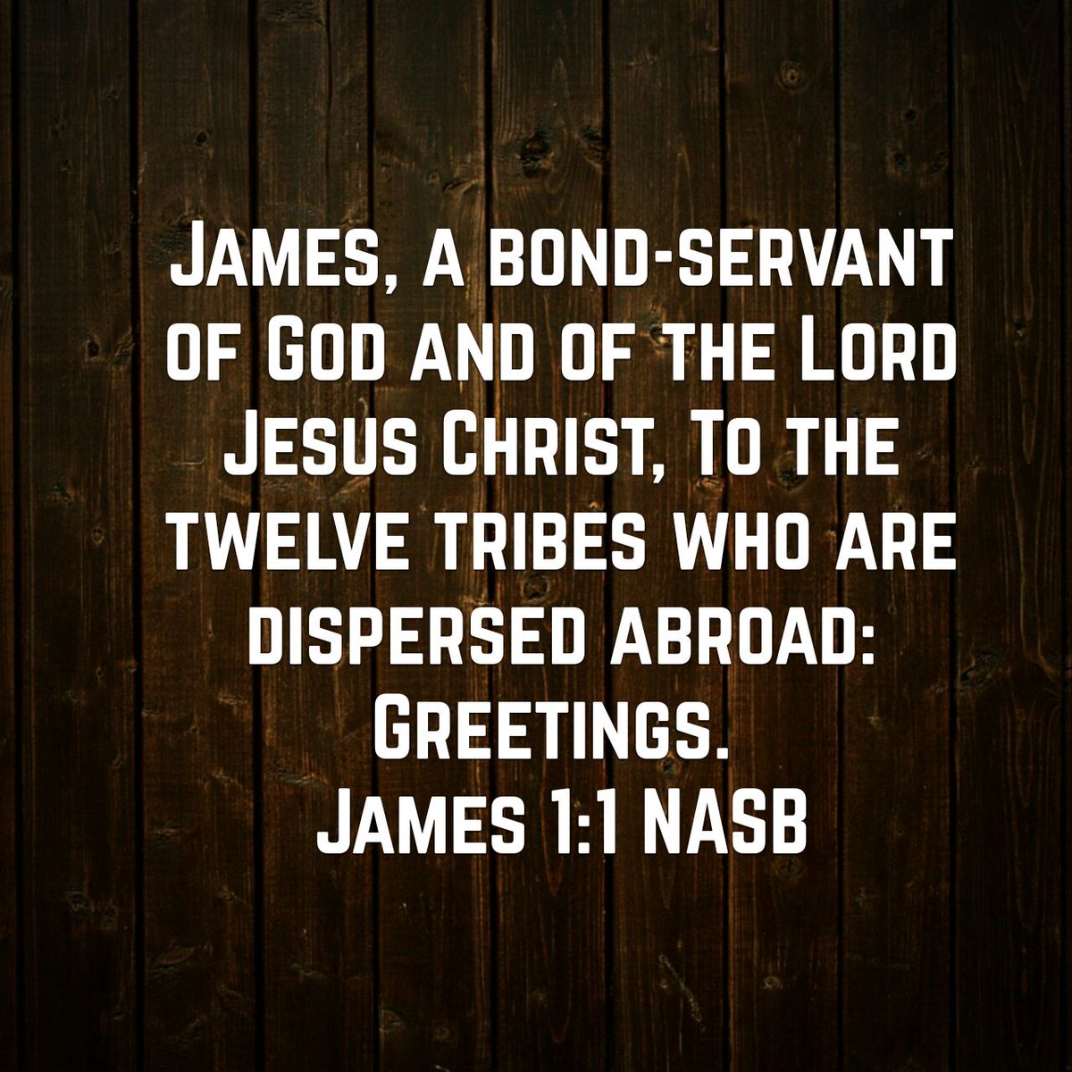 UncleMerwe's tweet image. James, a bond-servant of God and of the Lord Jesus Christ, To the twelve tribes who are dispersed abroad:…
bible.com/100/jas.1.1.NA…