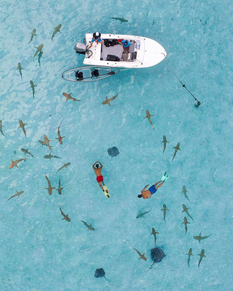 Expedition tweet media