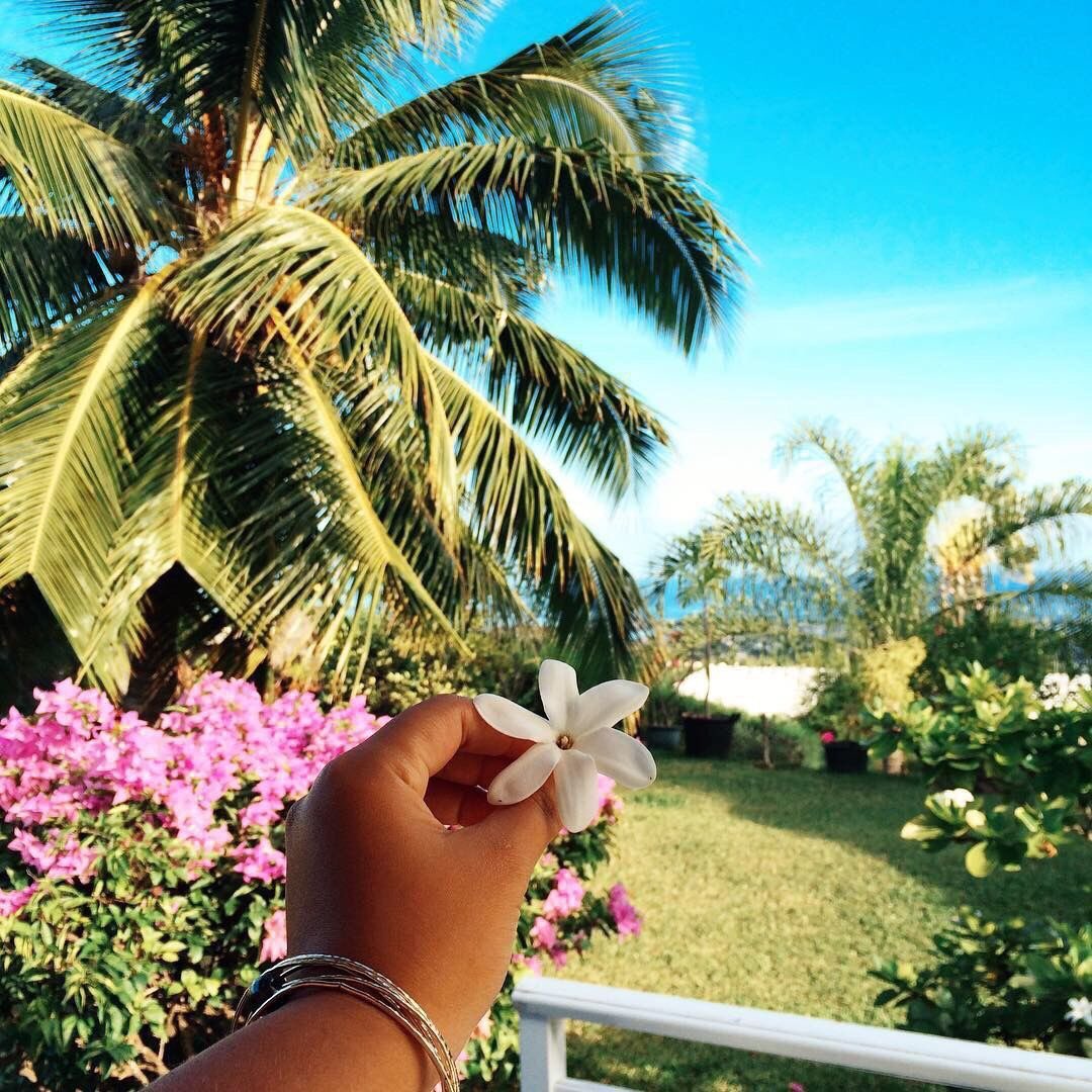 iIoveaesthetics's tweet photo. beach life https://t.co/L8mXiocjD2