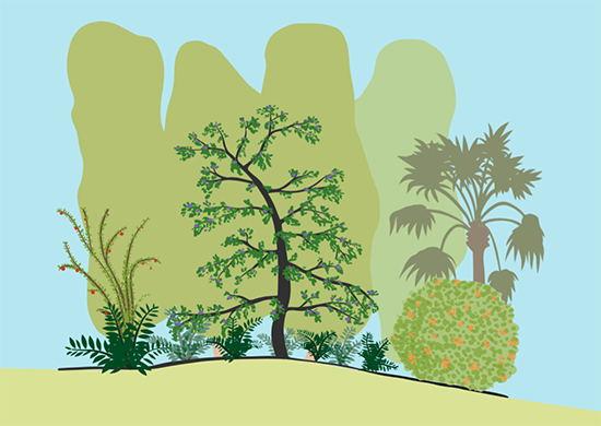 FANNisOnline's tweet photo. South Florida landscape professionals can see plants they've never used -- but could & should -- at #NativePlantShow https://t.co/4YfGpIExp3 https://t.co/enlRb1jRHT