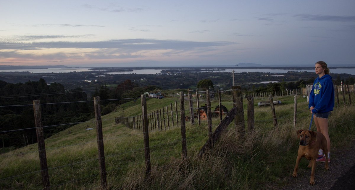 EscapeWithEllen's tweet photo. Autumn evening walk in #NZ...such a stunning time of year https://t.co/9ZXV1xNLo2