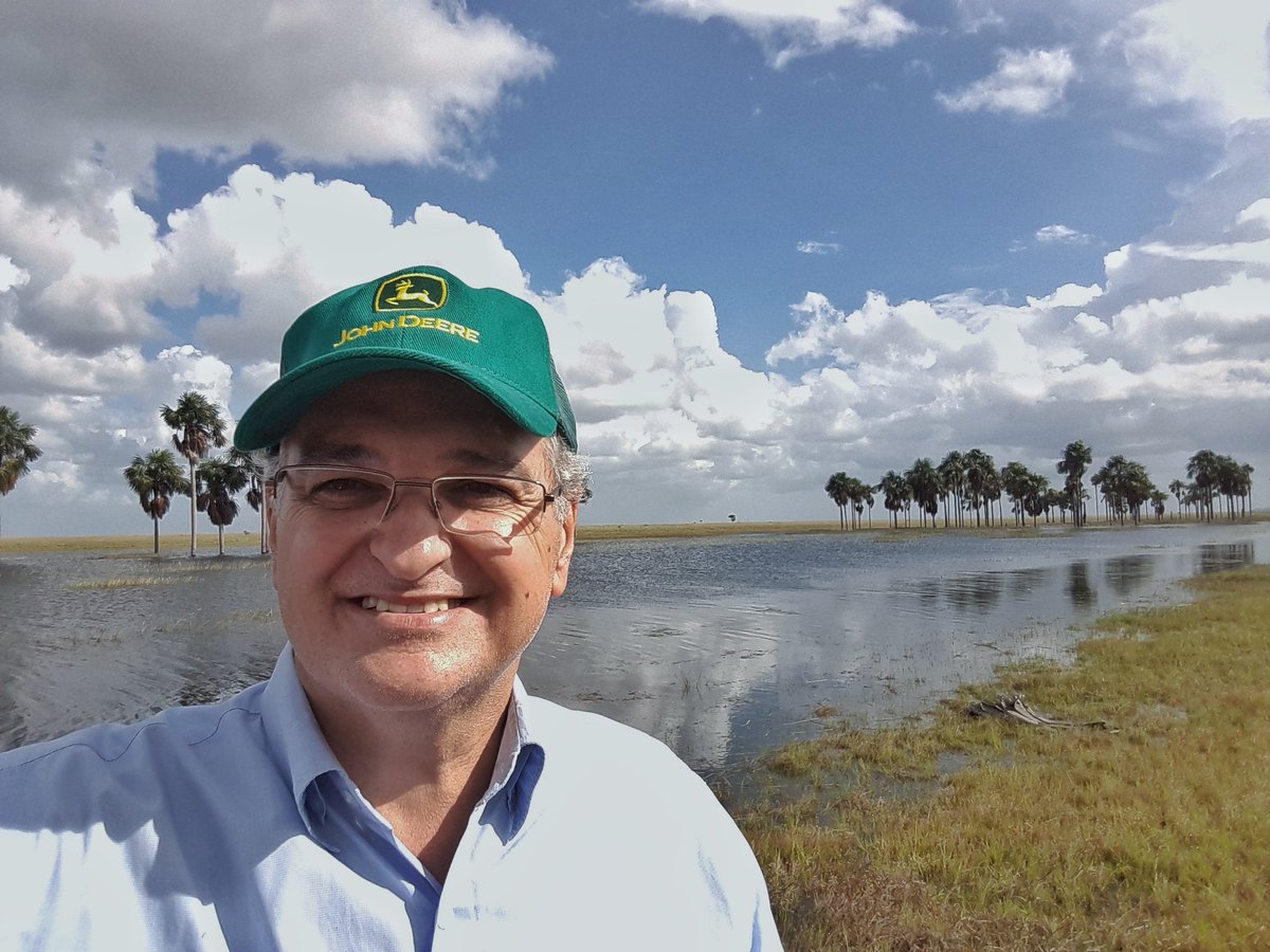 aluizionassi's tweet image. Início das chuvas, acontece uma verdadeira explosão de vida !

#CoisasDeDeus 
#Roraima_SemIgual 
#Roraima_HemisférioNorte
#Cerrado_Roraima