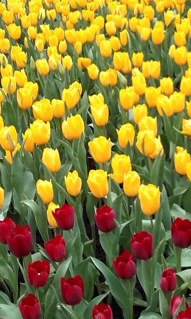 ursula_salvador's tweet image. Life is a game,play it.
Life is a costly,care for it.
Life is Welty,keep it.
#DTBYStranded