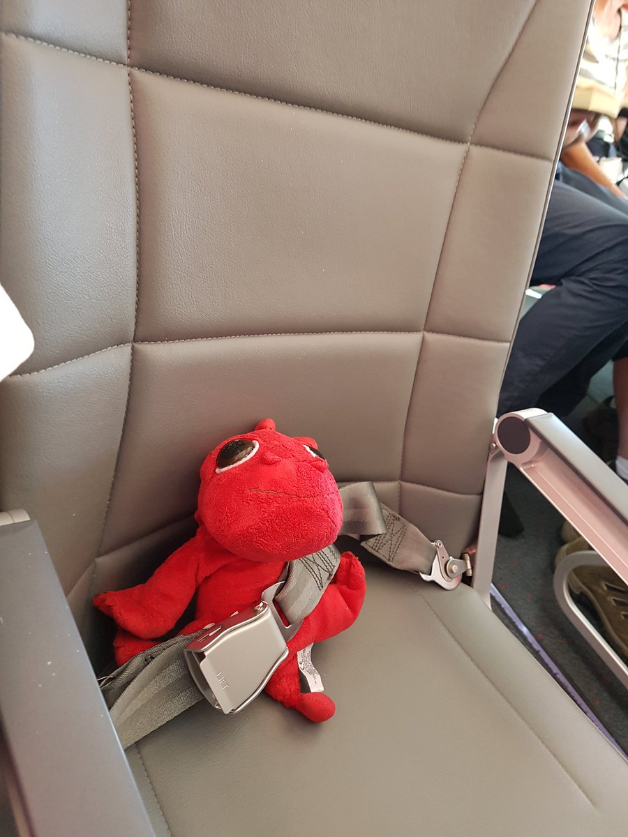 Mathsblackcat's tweet photo. Ready to go #jet2 @SeahamMaths @Emberfirefamily https://t.co/FNN1eVR0Dn