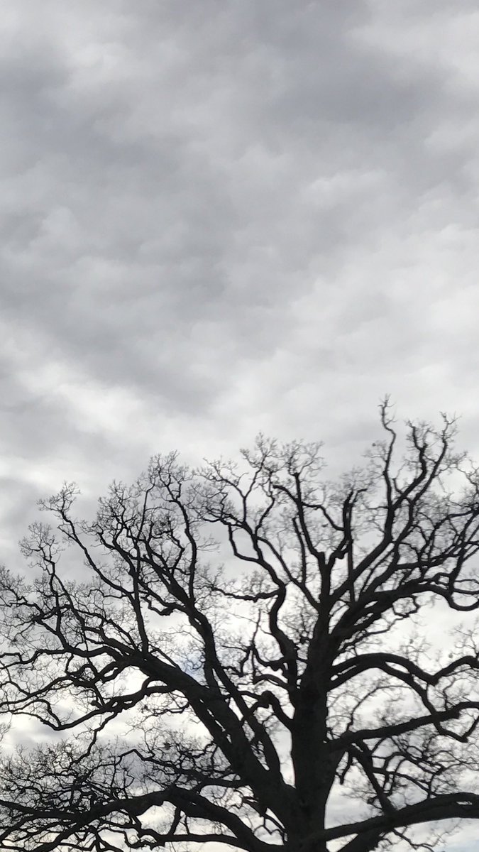 Qu_Anthem's tweet photo. Two photos I took on my way home today. Which one to pick for potential cover artwork of a #QuAnthem song? #LeftOrRight #PickOne #Artwork https://t.co/Hh0QVC4bjU