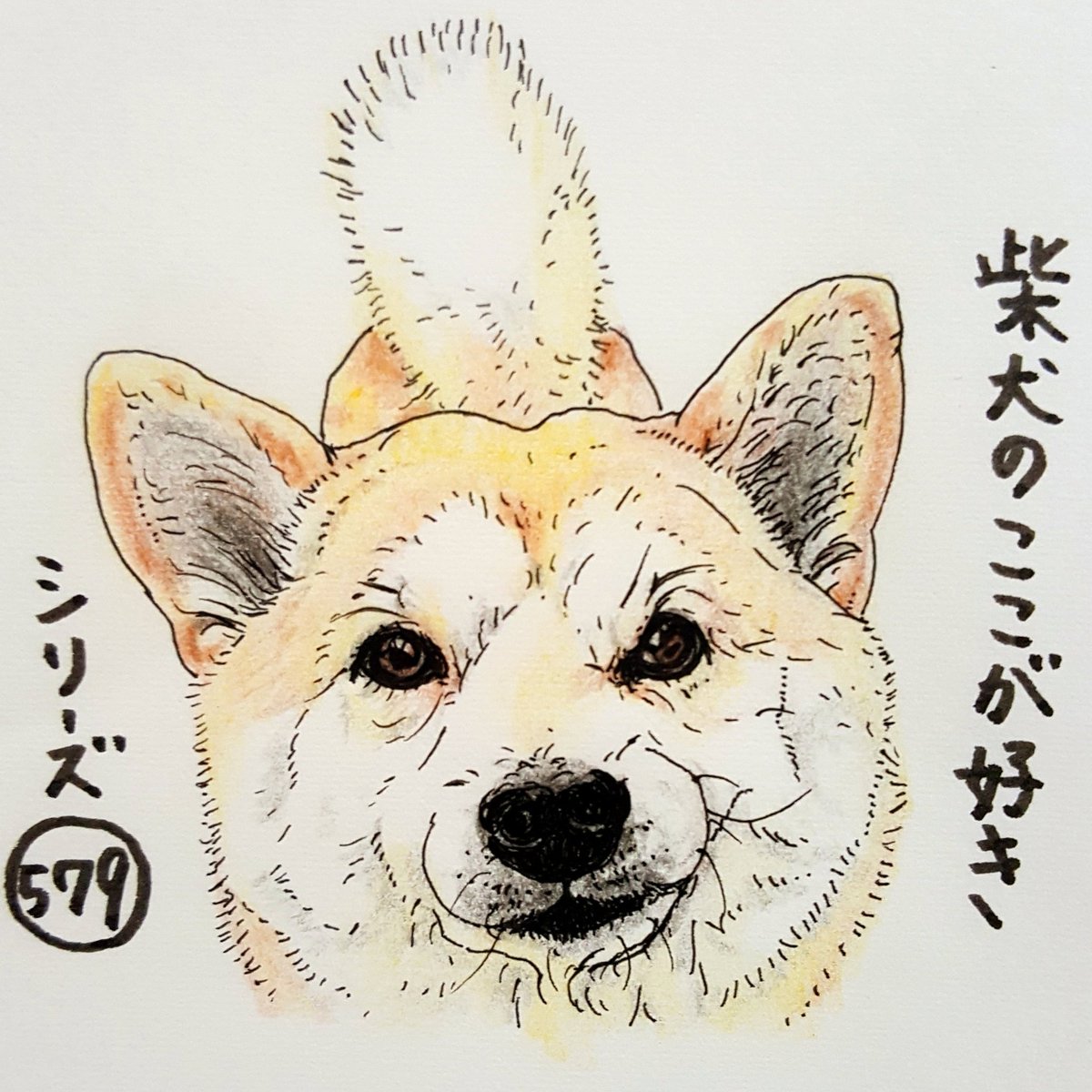 ここ柴 Twitter પર フワッフワのしっぽが モヒカンに見える角度があるとこ オラオラ系 フサフサ系 柴犬のここが好き ここ柴 柴犬 しばいぬ イラスト モヒカン