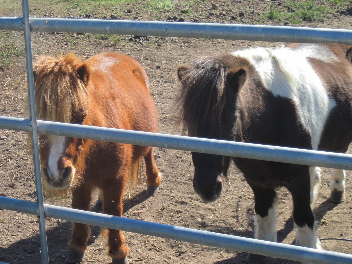 Nbc Bay Area On Twitter Driver Who Smashed Into North Bay Barn