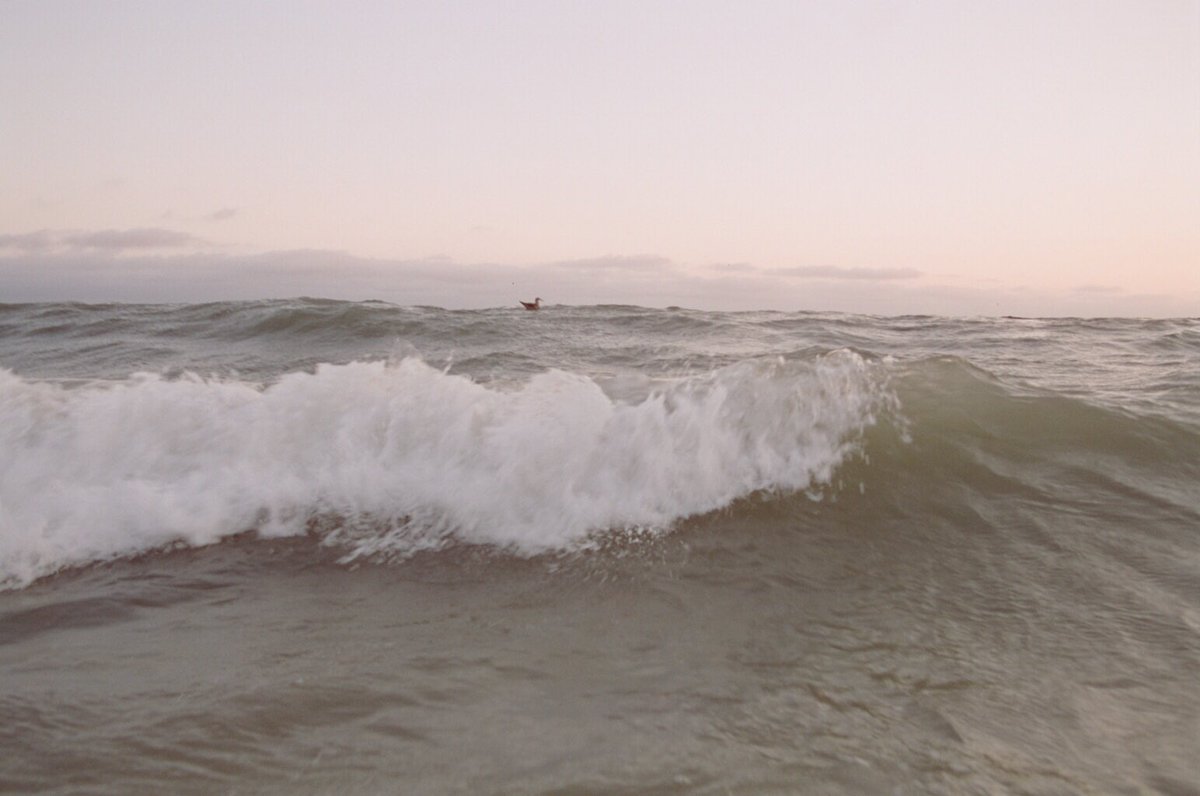 Hotmess_jpg's tweet photo. Malibu - 2016 https://t.co/KUhy0hf3tC