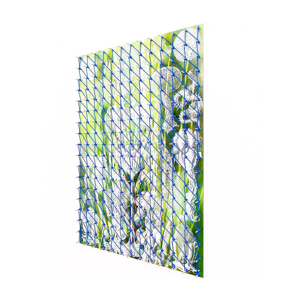 #art of the #artist #PierreClement 
Explore his universe on the #scandaleproject #comtemporaryart
scandaleproject.com