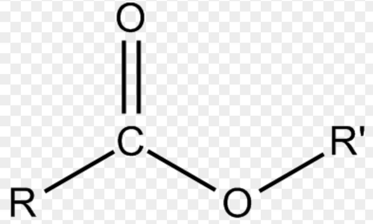 ScienceMarchSby's tweet image. Happy #ester everybody!! #MarchforScience