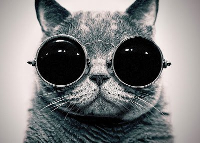 Brian Katz (BK) tweet media