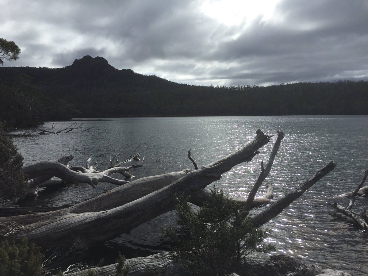 alisonlbare's tweet photo. Shadow Lake, Cynthia Bay Tas https://t.co/CnQB1CGWhR
