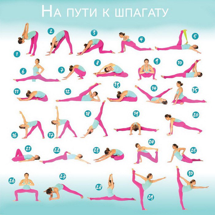 Растяжка в картинках для шпагата