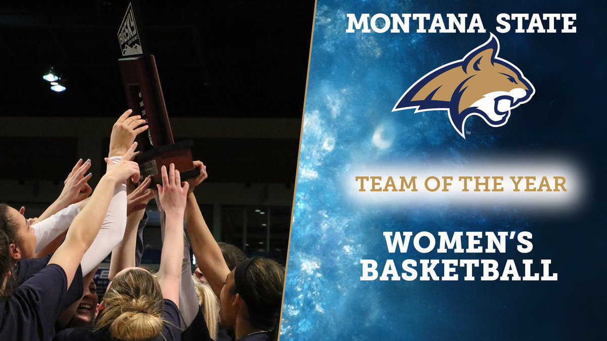 The #MSUAllBanquet Team of the Year award goes to @msuwbb! #GoCatsGo
