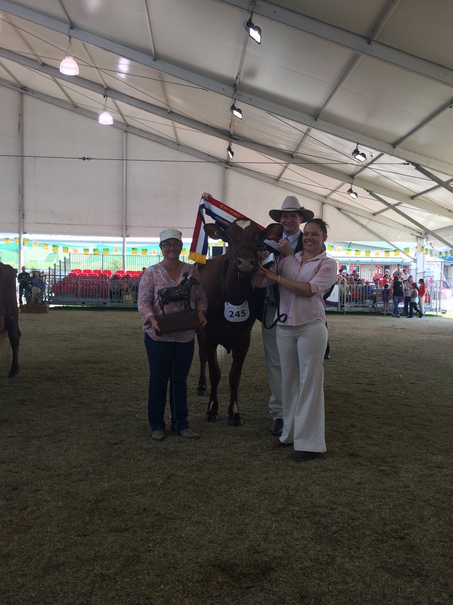 bridieedwards4's tweet photo. View Mount Little Patch won the Illawarra intermediate champion female dairy cow @fairfaxlivestoc @thelandnews https://t.co/GhpJNHD4NE