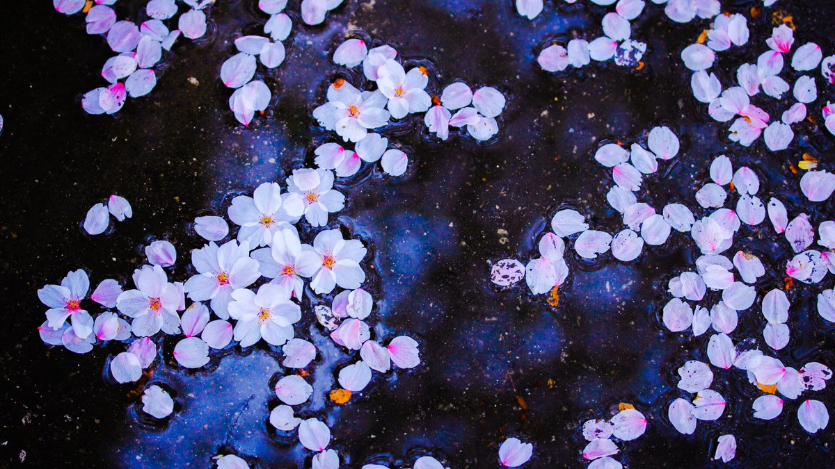 고인 물에 우수수