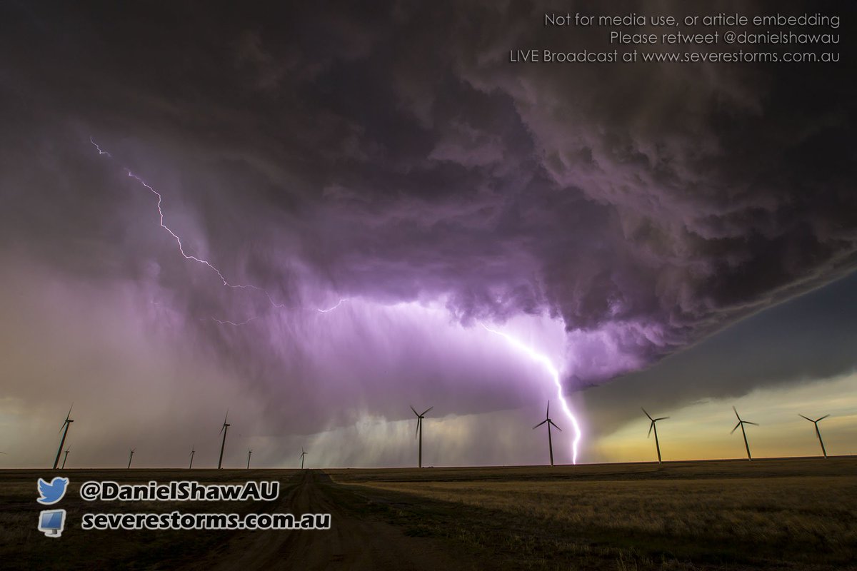 Twister Rabbit (@TwisterRabbit) | Twitter