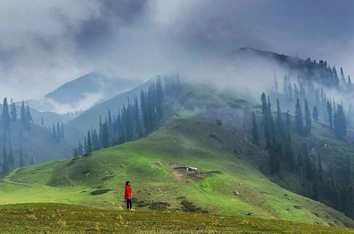 LifeLensScape's tweet photo. #GoodmorningPakistan from the #Fairyland #PayeMeadows #Shogran #NaranKaghan #KPK #BeautifulPakistan #KnowYourCountry #OurBeautifulPakistan https://t.co/LXkJ8ICUhK