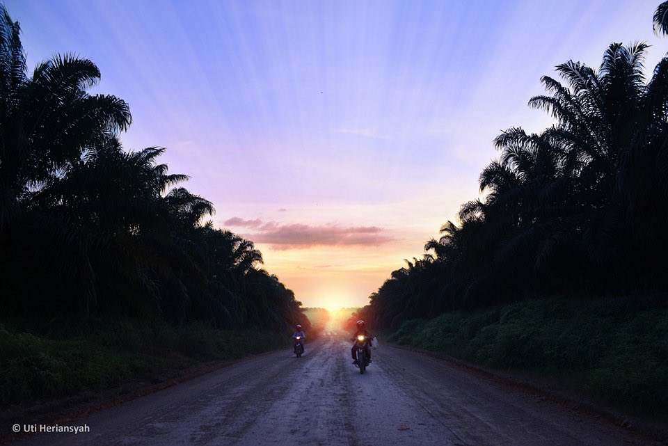 good morning from sei kelik, tayap (photo by @Uti_Heriansyah )