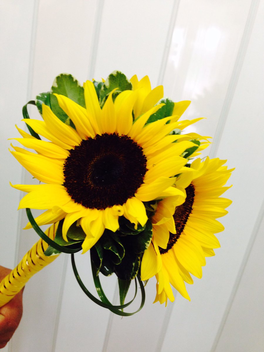 FlorEstrellitas's tweet photo. https://t.co/yuJiBIGPbZ
