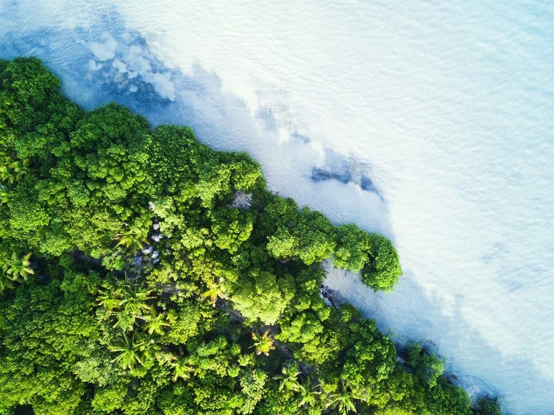 RivieraCancun's tweet image. Descubre un pequeño paraíso caribeño llamado Punta Allen en tu viaje por #RivieraMaya. 🌴🌅🌴
📸 De PierretLambert.