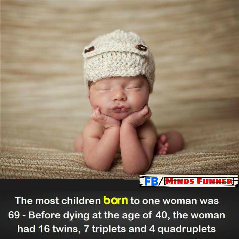 MindsFunner's tweet image. 