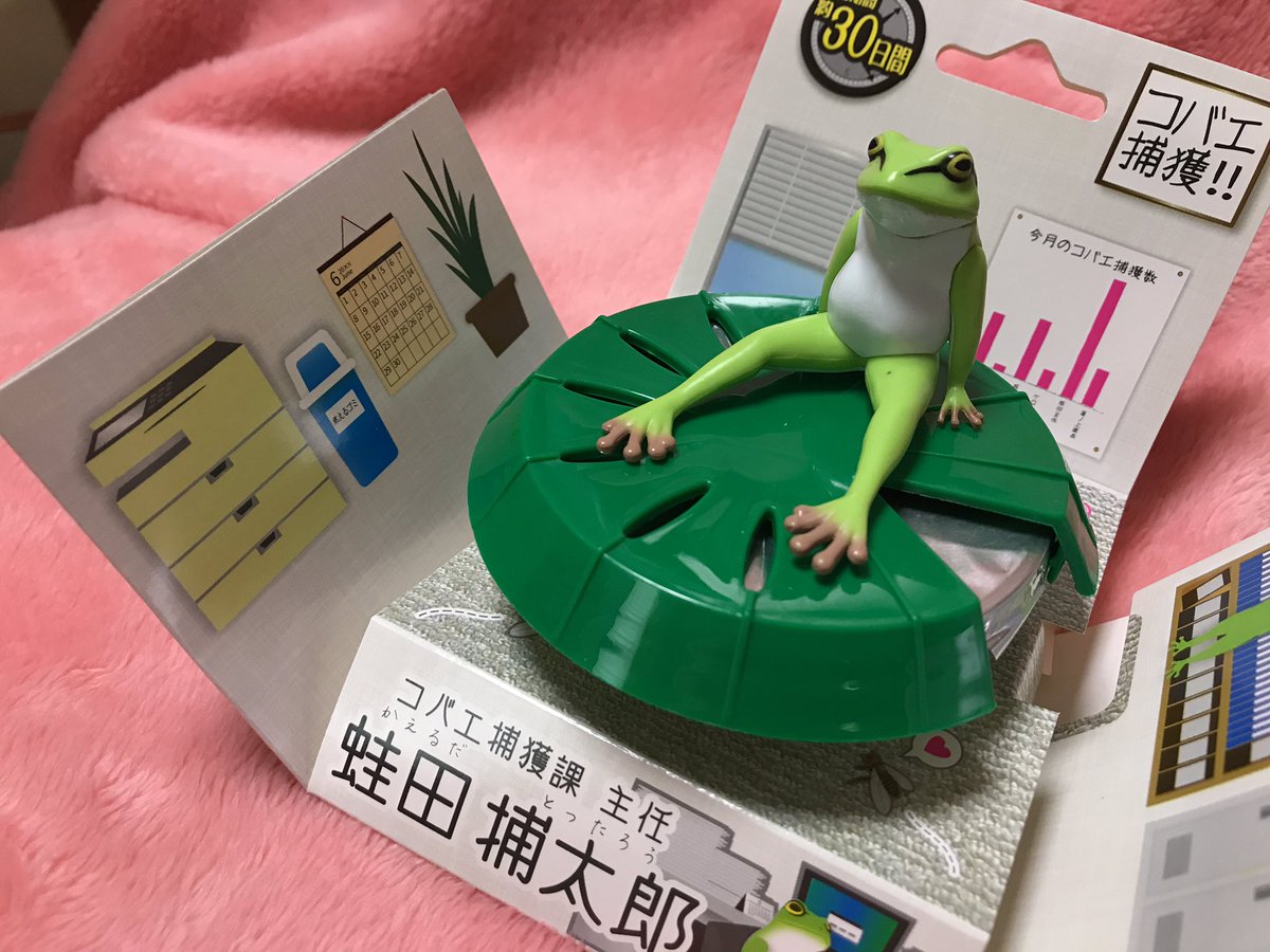 見る者を衝動買いさせるコバエ捕獲器の蛙田捕太郎が可愛過ぎる 見る者を衝動買いさせるコバエ捕獲器の蛙田捕太郎が可愛過ぎる