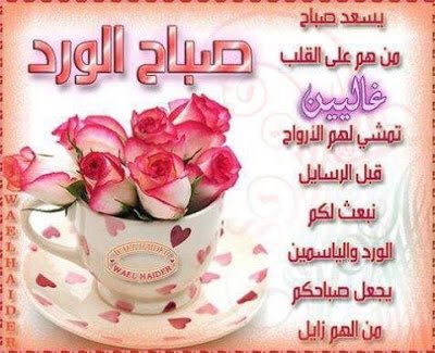 mmmmo92767119's tweet photo. @AlaaiinH @4a7d024332914bc @SheakhAli 🌞صـبـاح الـنـور والسرور 🌞 https://t.co/MguH5DXUqa