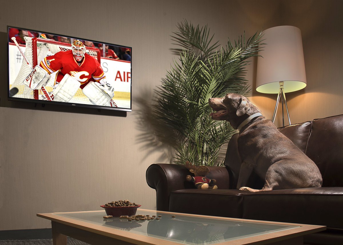 CalgaryPolice's tweet photo. Retired police service dog 'Moose' won't take his eyes off his hometown hero! #GoFlamesGo #CofRed #LightUpCalgary @NHLFlames #yyc https://t.co/Z2PbA9VZS4