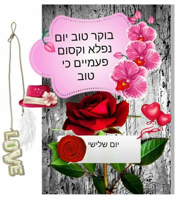 גדעון Mazouz132 Twitter