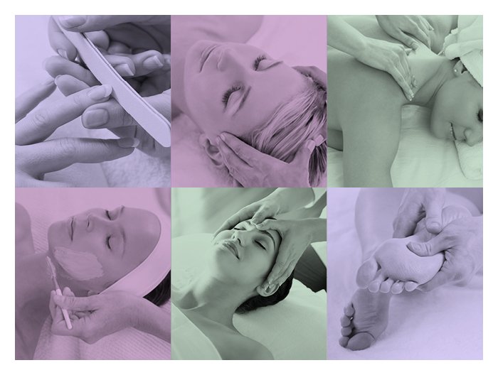 Macdonald Holyrood tweet media