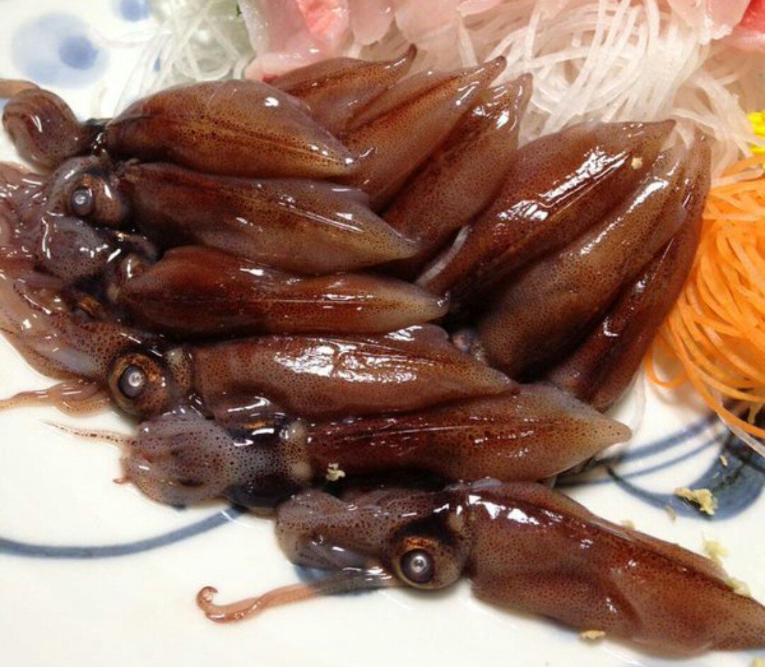 黒かどや على تويتر ホタルイカの目玉を取らない店が増えてるみたいだけど 客は気にしないのかな 昔は割烹や料亭だと軟甲 軟骨 まで取ってたけど 誰も気にならないなら面倒臭いから取るのやめようかな 黒かどや على تويتر ホタルイカの目玉を取らない店が増えてるみたいだけど 客は気にしないのかな 昔は割烹や料亭だと軟甲 軟骨 まで取ってたけど 誰も気にならないなら面倒臭いから取るのやめようかな