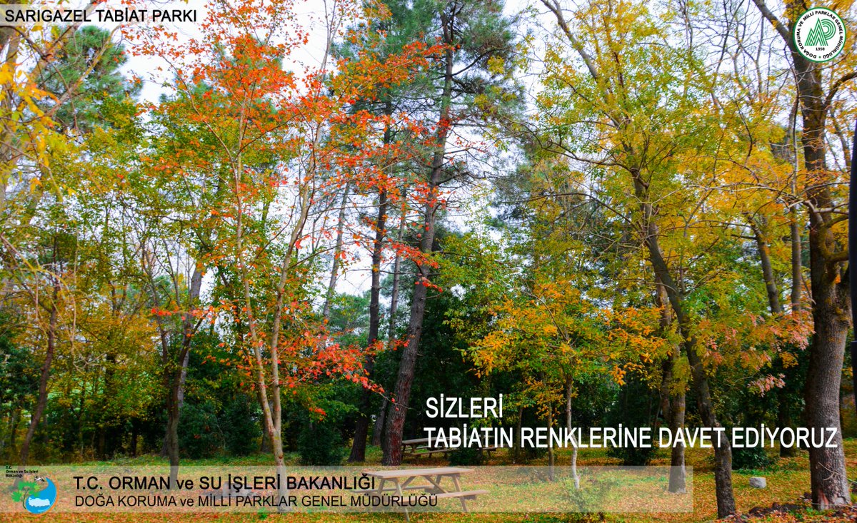 Sarıgazel Tabiat Parkı Bütün Güzelliği ile Sizlere Kucak Açıyor...
#Samsun #TabiatParkı #MilliParklar