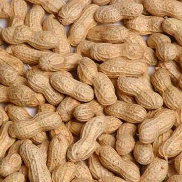 kaizenexport's tweet image. #Peanuts
kaizenexporter.com
kaizenexport99@gmail.com
Export import Related Inquiry
+918000805570
Vegetable,Fruits,pulses,Grains,Scrap