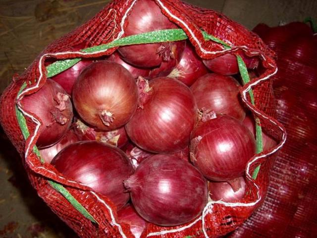 kaizenexport's tweet image. #onion  kaizenexporter.com  kaizenexport99@gmail.com Export import Related Inquiry +918000805570  Vegetable,Fruits,pulses,Grains,Scrap