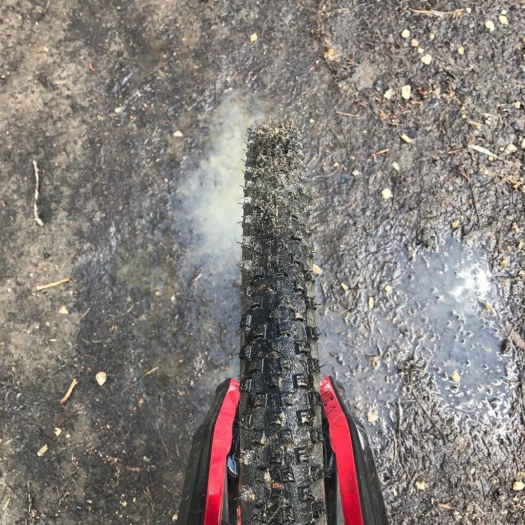 WheelsDirect_eu's tweet photo. Rainy days, muddy rides. -------------------------------
#mountainbike #mud #lifebehindbars #conti2wheel  #gettheg… https://t.co/KpIt2Vrhh0 https://t.co/MYmu4kdzGW