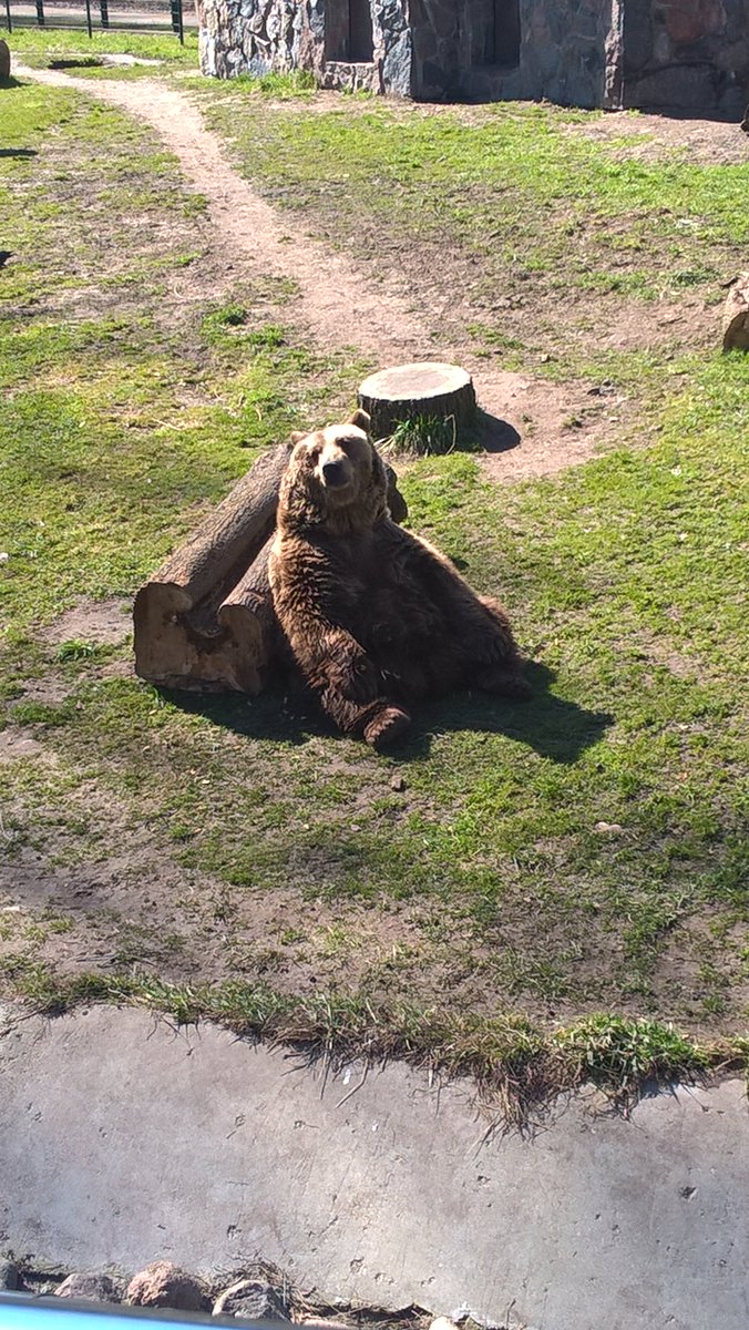 Filipowy's tweet photo. Lazy tuesday 😀 #lazyboy https://t.co/fU2a70GT3S