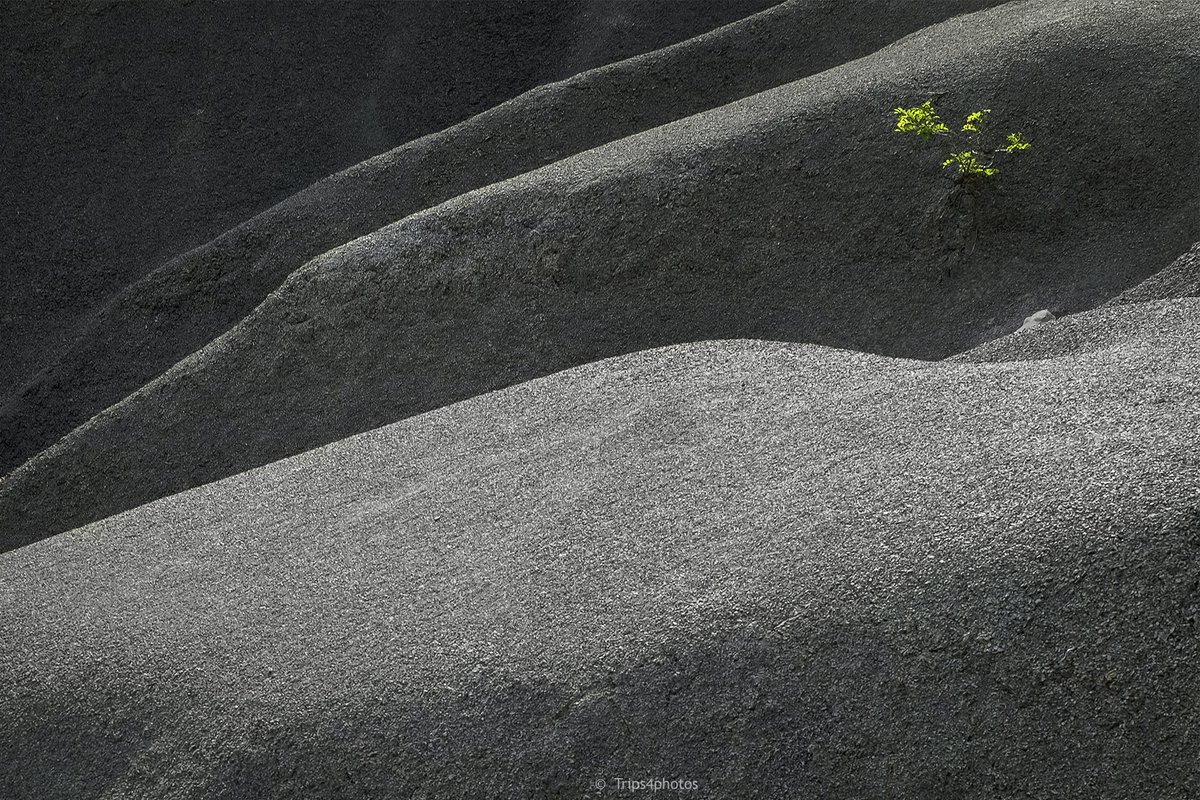 trips4photos's tweet photo. Minimalism of the badlands.
#ifeelslovenia #kraskirob #landscape #photography https://t.co/FjpSHvDN73