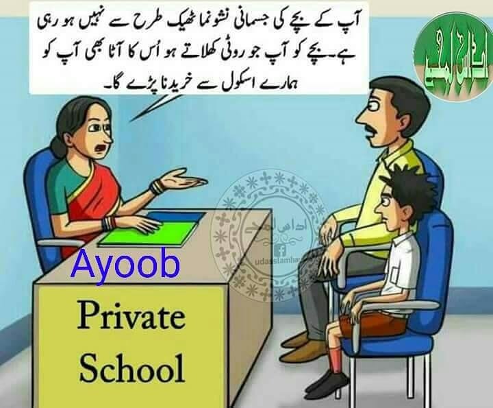 Sunny Qureshi (SunnyQu46633519) Twitter