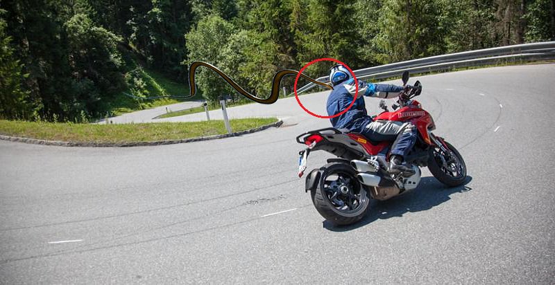 1stIndiaNews's tweet image. चलती बाईक पर सांप ने किया उड़ के हमला, जिसे देख रोंगटे खड़े हो जाएंगे आपके
bit.ly/2pcBFw3

#World #Snakeattack #Movingbike #Snake