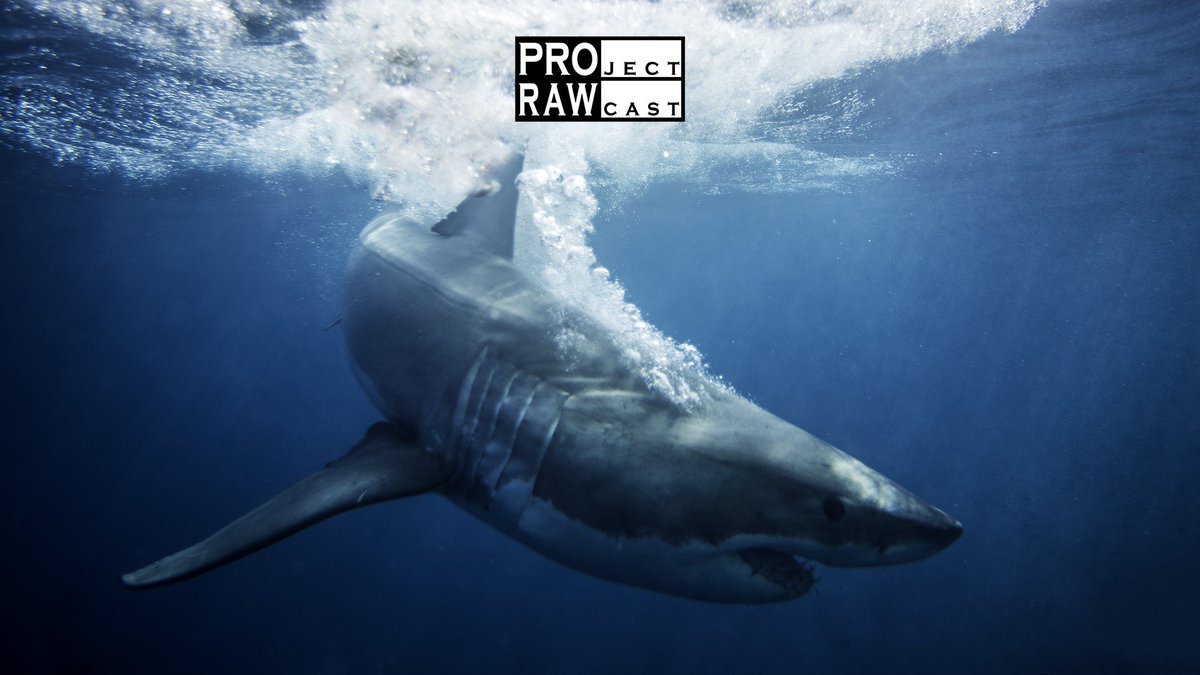 Episode 20 "Instagram Bots and Automation" is now live: projectrawcast.com/episode-20-ins…
#photography #podcast #seeaustralia