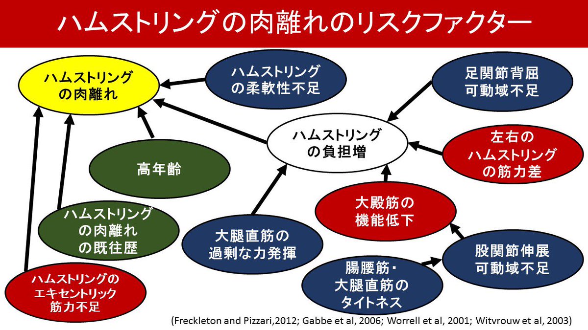 佐々部孝紀 Koki Sasabe A Twitter ハムの肉離れについてまとめました 大谷選手に届けばええな 笑 ちなみに現在のところエビデンスとして骨盤の前傾がリスクになるって研究は見当たらないですけど 現場でリハビリしてる感覚としては 腹筋をアクティベートして骨盤 佐々部孝紀 Koki Sasabe A Twitter ハムの肉離れについてまとめました 大谷選手に届けばええな 笑 ちなみに現在のところエビデンスとして骨盤の前傾がリスクになるって研究は見当たらないですけど 現場でリハビリしてる感覚としては 腹筋をアクティベートして骨盤
