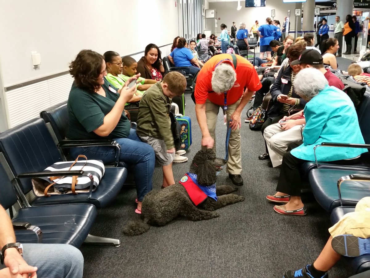 Our #therapydogs meet #wingsforall today! Lexington is loving all the attention.