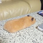 こんなスマホケース欲しいwふわふわのもふもふで癒されるw