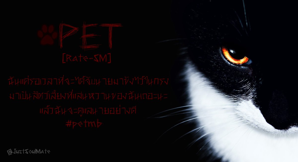 JustSoulMate's tweet photo. [PlzRT]
[GOT7] :: PET :: #MARKBAM #Markbamfiction
Rate - SM
UP : 11 [30%]
-> https://t.co/PHZYlNkCHC
#petmb
#มาร์คแบม
ฝากด้วยนะคะ ขอบคุณค่ะ https://t.co/OMkx67lrfL