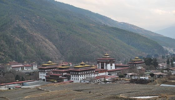 icimod's tweet photo. High yielding variety of oat grass to address fodder crisis in the Kangchenjunga Landscape, Bhutan https://t.co/lfdo9OHUjy #KLCDI https://t.co/a8ZClavAgU